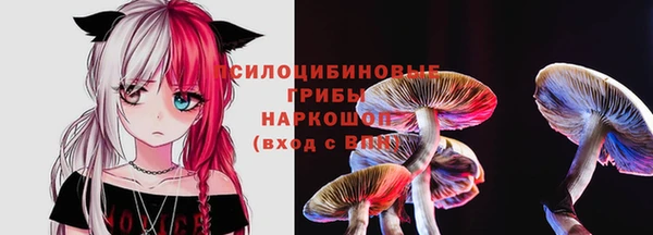 spice Армянск