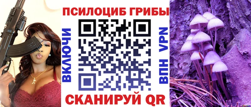 Галлюциногенные грибы мухоморы  где продают наркотики  Талица 