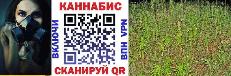 Марихуана план  купить  сайты  Талица 